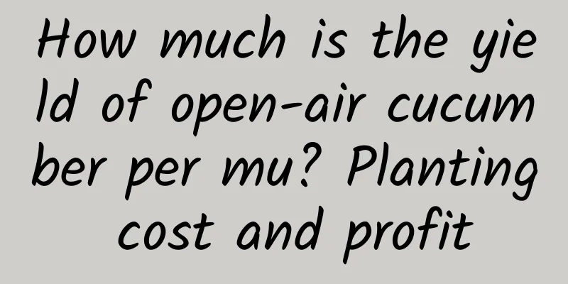 How much is the yield of open-air cucumber per mu? Planting cost and profit