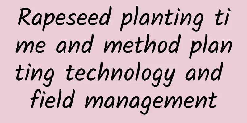 Rapeseed planting time and method planting technology and field management