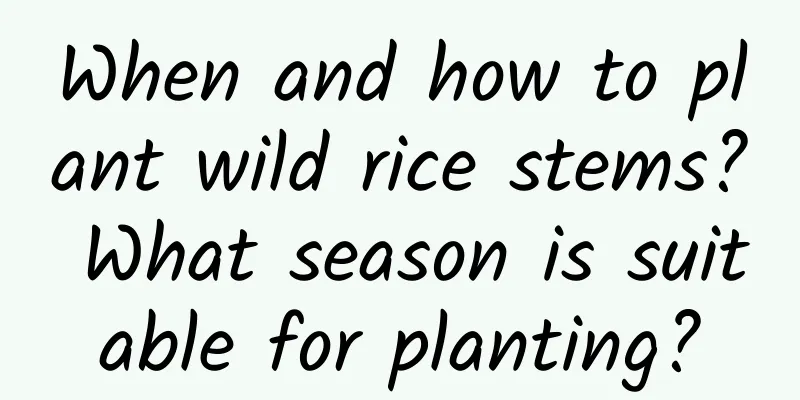 When and how to plant wild rice stems? What season is suitable for planting?