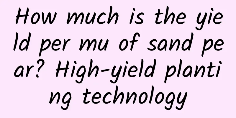 How much is the yield per mu of sand pear? High-yield planting technology