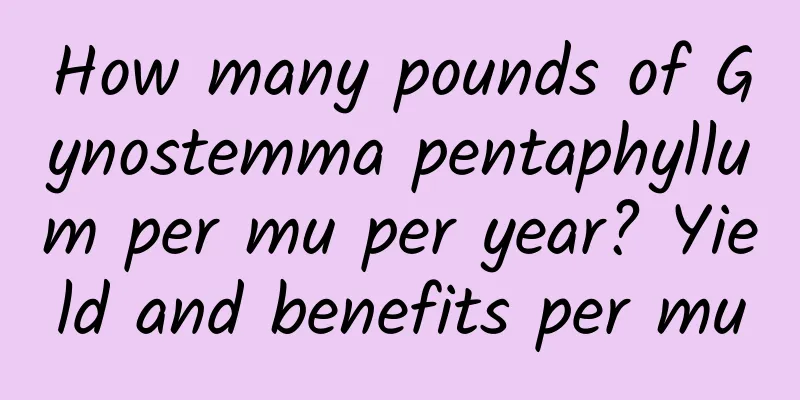 How many pounds of Gynostemma pentaphyllum per mu per year? Yield and benefits per mu