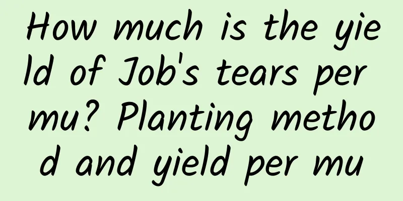 How much is the yield of Job's tears per mu? Planting method and yield per mu