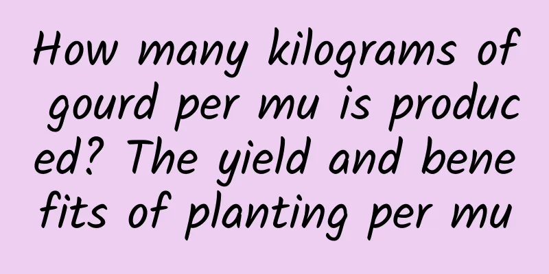 How many kilograms of gourd per mu is produced? The yield and benefits of planting per mu