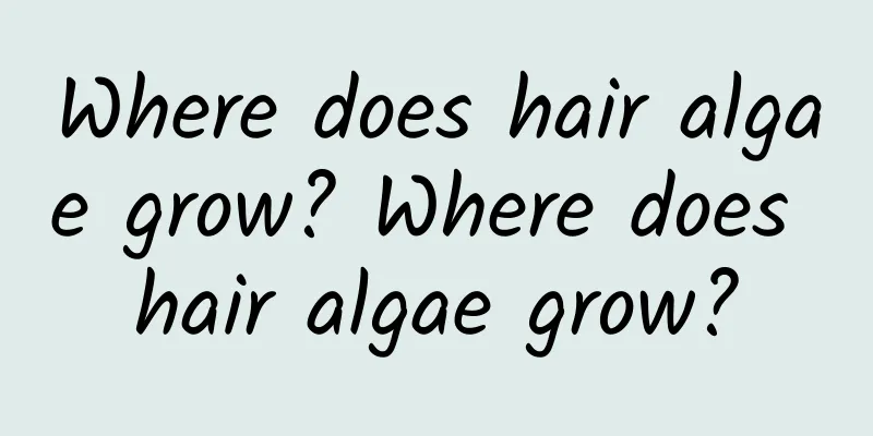 Where does hair algae grow? Where does hair algae grow?