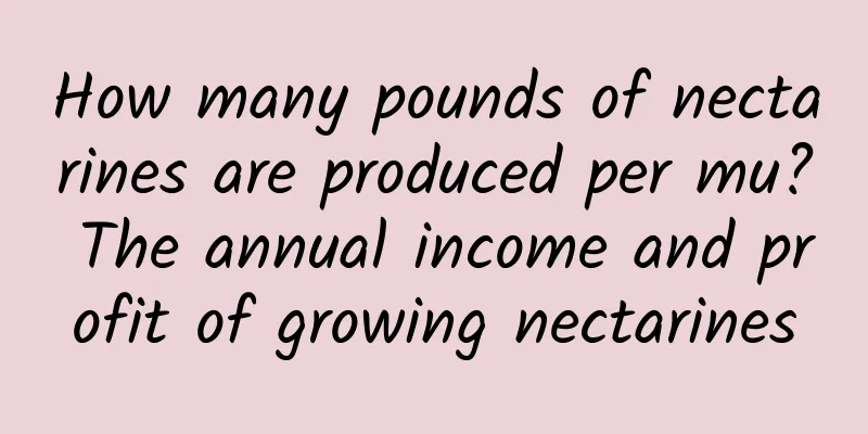 How many pounds of nectarines are produced per mu? The annual income and profit of growing nectarines