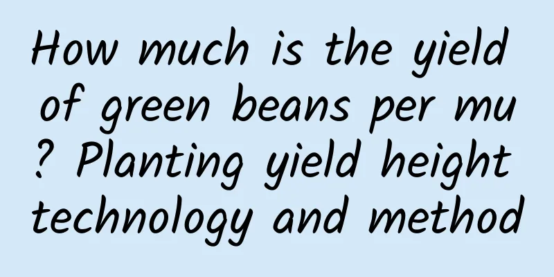 How much is the yield of green beans per mu? Planting yield height technology and method