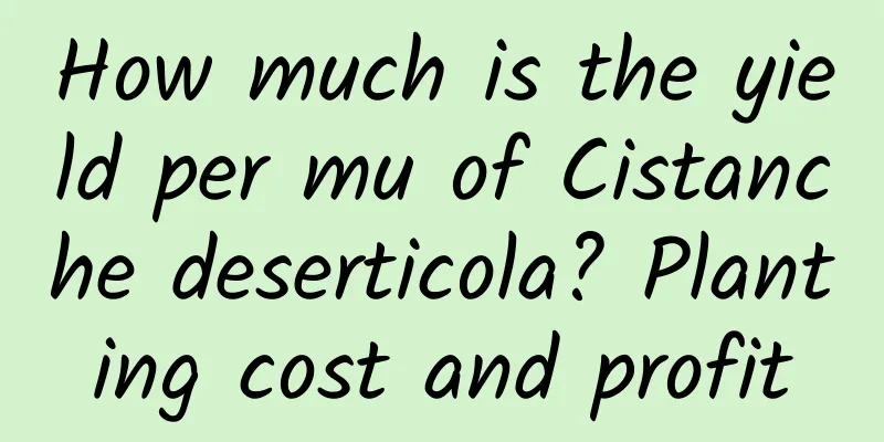 How much is the yield per mu of Cistanche deserticola? Planting cost and profit