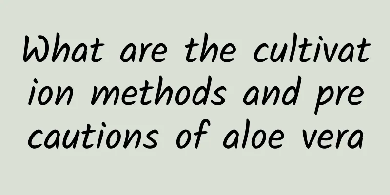 What are the cultivation methods and precautions of aloe vera