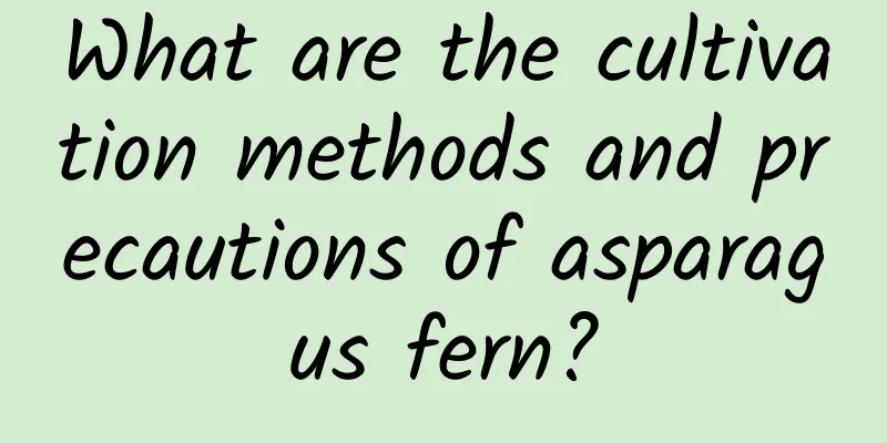 What are the cultivation methods and precautions of asparagus fern?