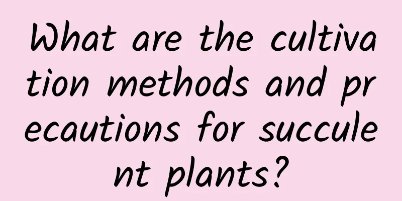 What are the cultivation methods and precautions for succulent plants?