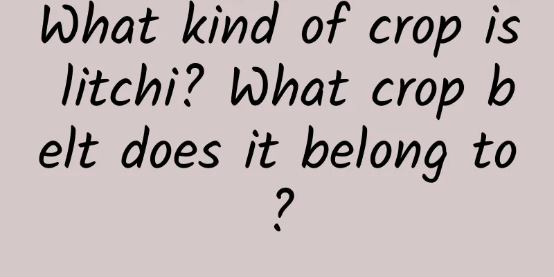 What kind of crop is litchi? What crop belt does it belong to?