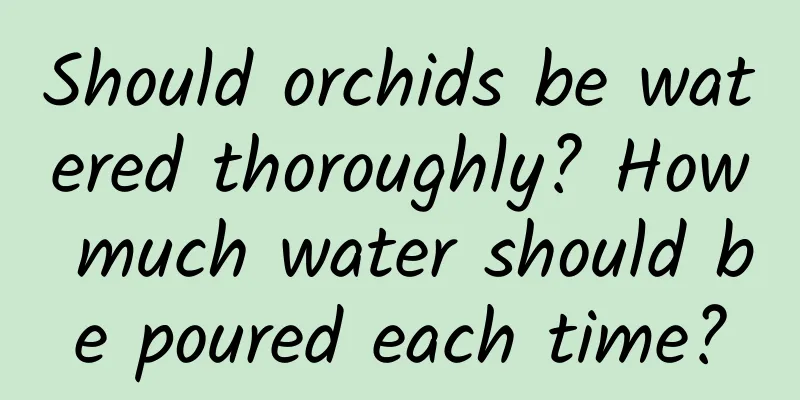Should orchids be watered thoroughly? How much water should be poured each time?