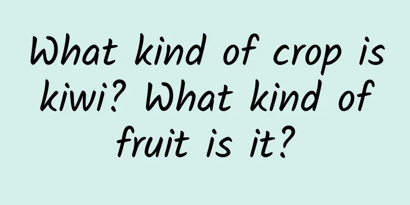 What kind of crop is kiwi? What kind of fruit is it?