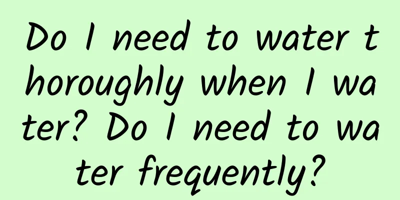 Do I need to water thoroughly when I water? Do I need to water frequently?