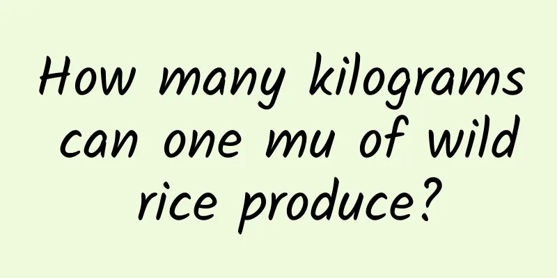 How many kilograms can one mu of wild rice produce?
