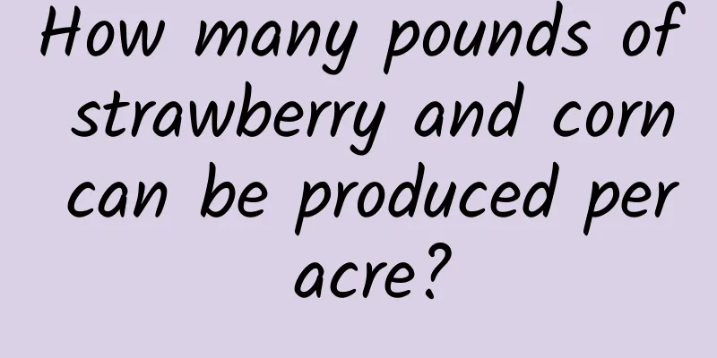 How many pounds of strawberry and corn can be produced per acre?