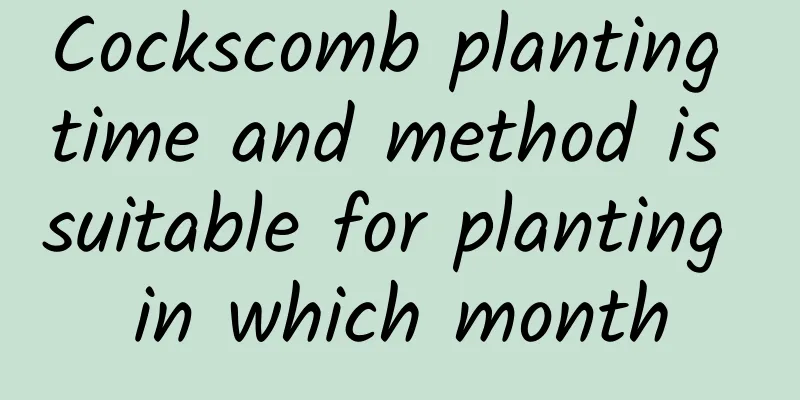 Cockscomb planting time and method is suitable for planting in which month