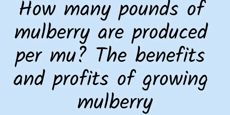 How many pounds of mulberry are produced per mu? The benefits and profits of growing mulberry