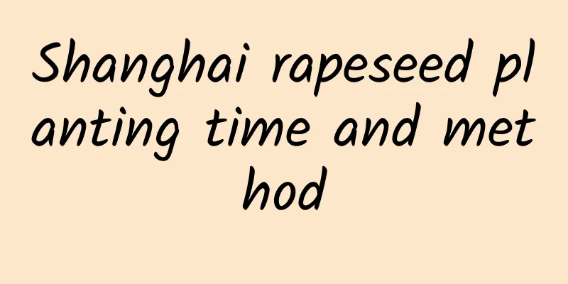 Shanghai rapeseed planting time and method