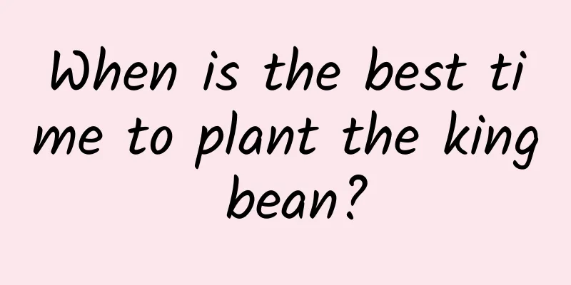 When is the best time to plant the king bean?