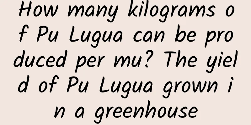 How many kilograms of Pu Lugua can be produced per mu? The yield of Pu Lugua grown in a greenhouse