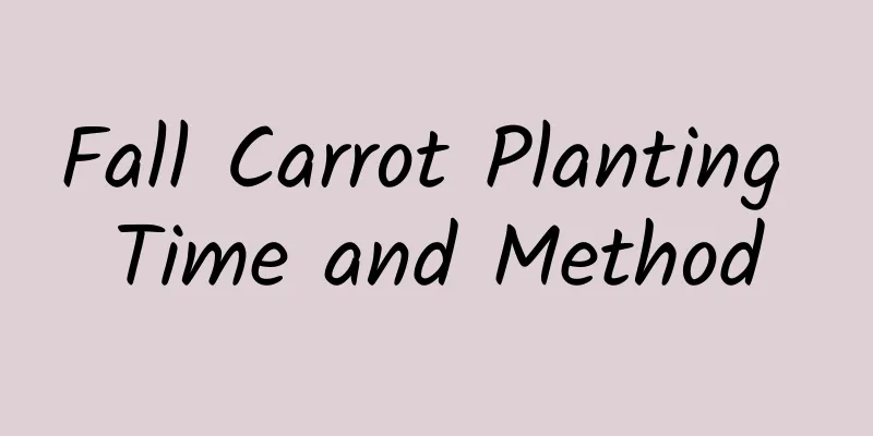 Fall Carrot Planting Time and Method