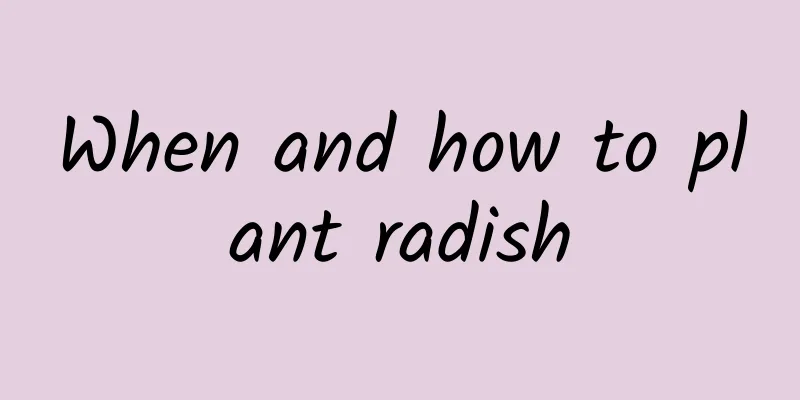 When and how to plant radish