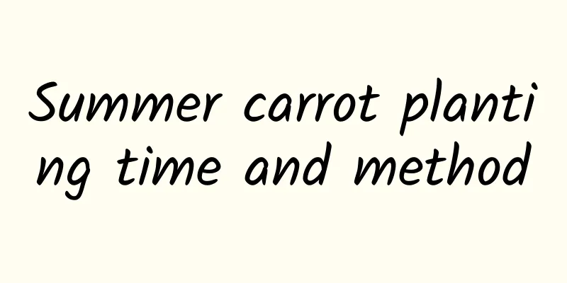 Summer carrot planting time and method
