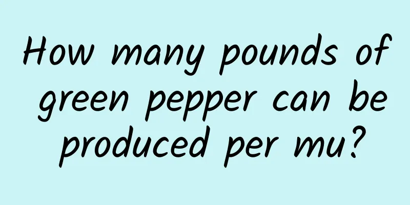 How many pounds of green pepper can be produced per mu?