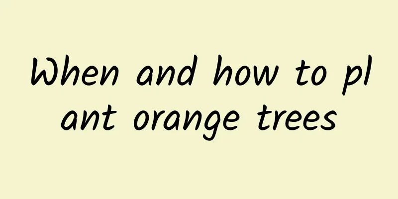 When and how to plant orange trees