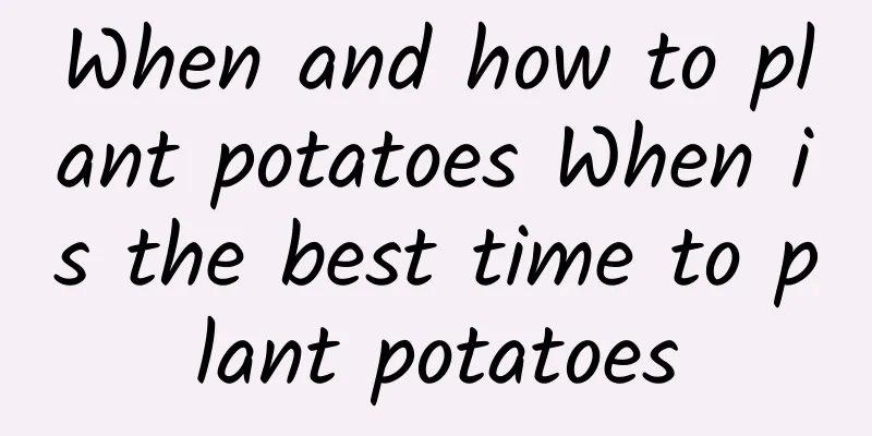 When and how to plant potatoes When is the best time to plant potatoes