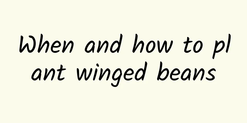 When and how to plant winged beans