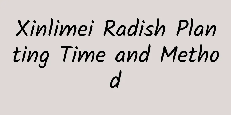 Xinlimei Radish Planting Time and Method