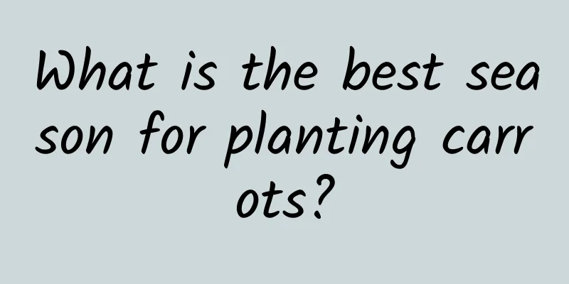 What is the best season for planting carrots?