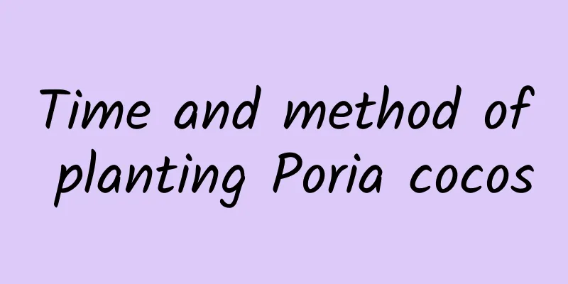 Time and method of planting Poria cocos