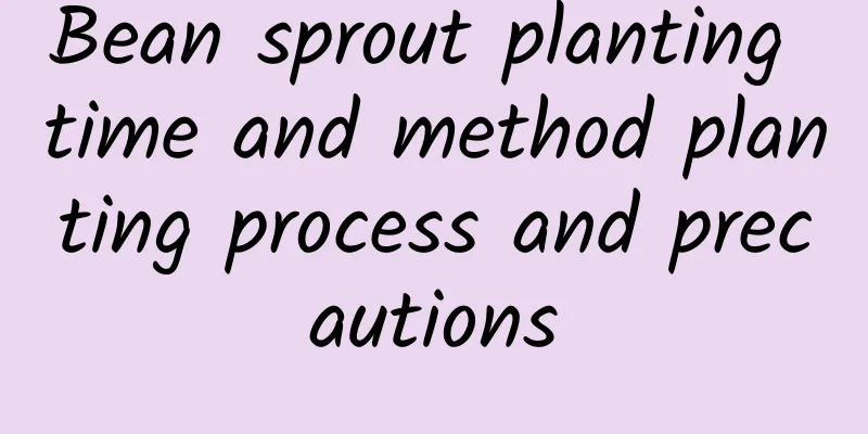 Bean sprout planting time and method planting process and precautions