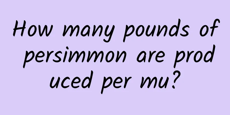How many pounds of persimmon are produced per mu?