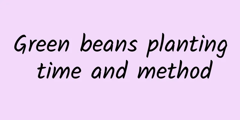 Green beans planting time and method