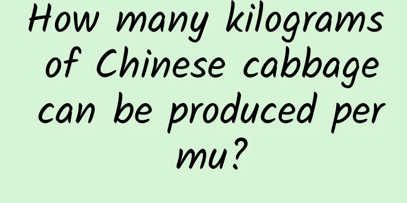How many kilograms of Chinese cabbage can be produced per mu?