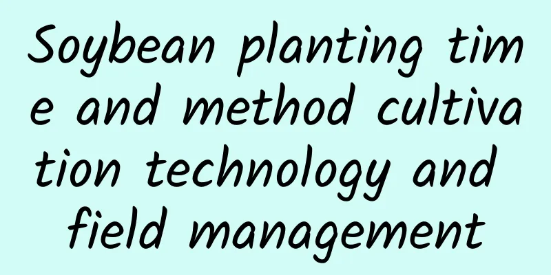 Soybean planting time and method cultivation technology and field management