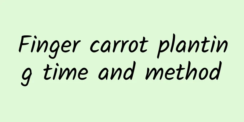 Finger carrot planting time and method