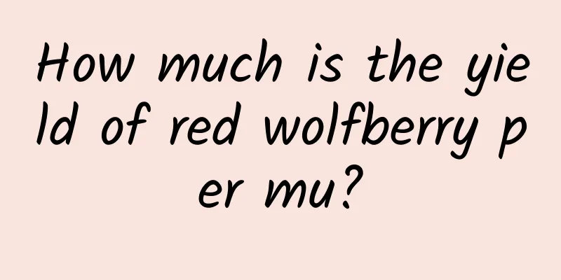 How much is the yield of red wolfberry per mu?