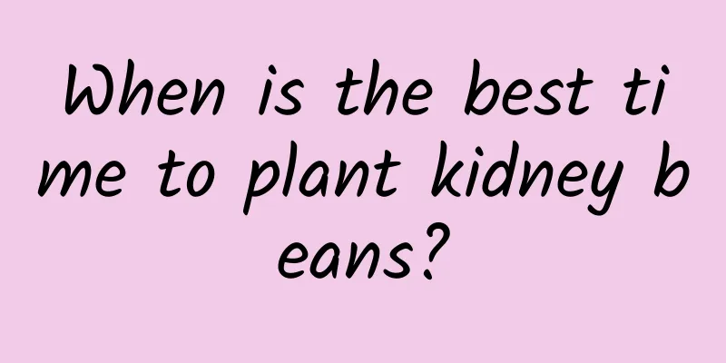 When is the best time to plant kidney beans?