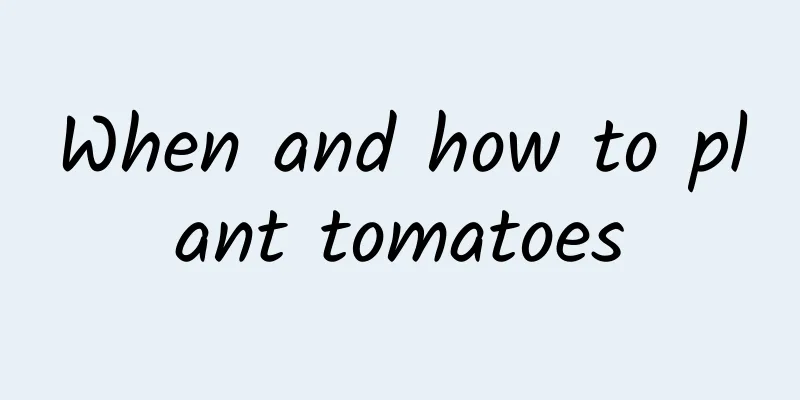 When and how to plant tomatoes