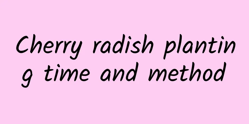 Cherry radish planting time and method