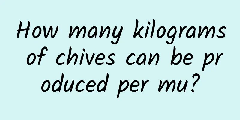 How many kilograms of chives can be produced per mu?