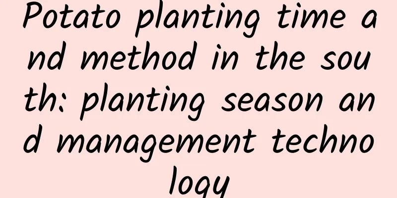 Potato planting time and method in the south: planting season and management technology