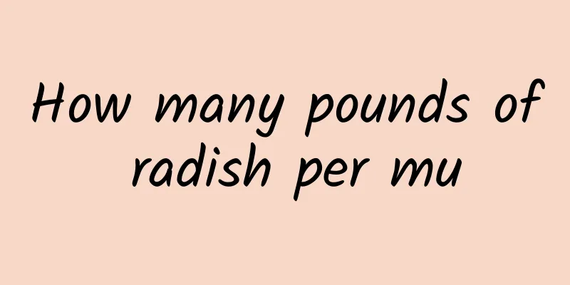 How many pounds of radish per mu
