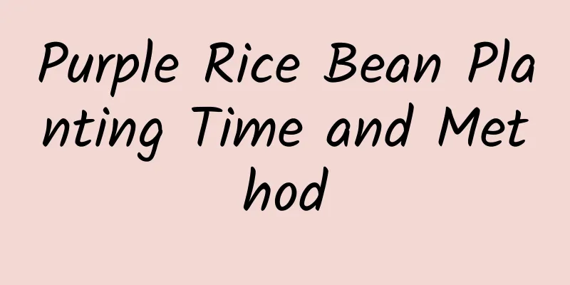 Purple Rice Bean Planting Time and Method