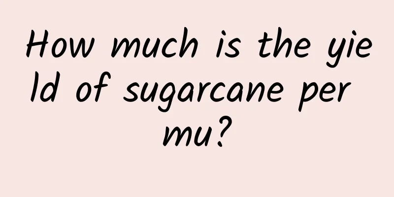 How much is the yield of sugarcane per mu?